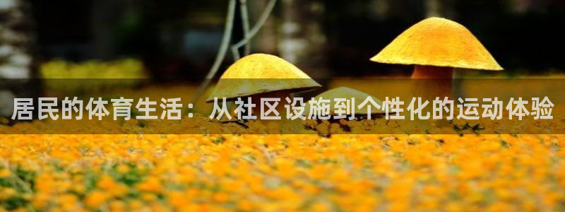 凯捷体育娱乐下载：居民的体育生活：从社区设施到个性化