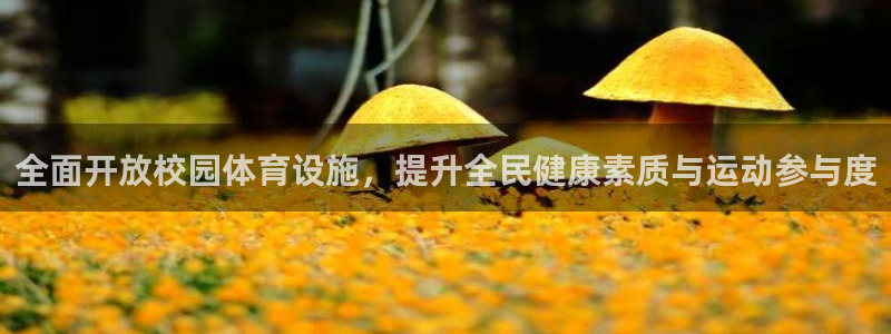 凯捷体育招商：全面开放校园体育设施，提升全民健康素质