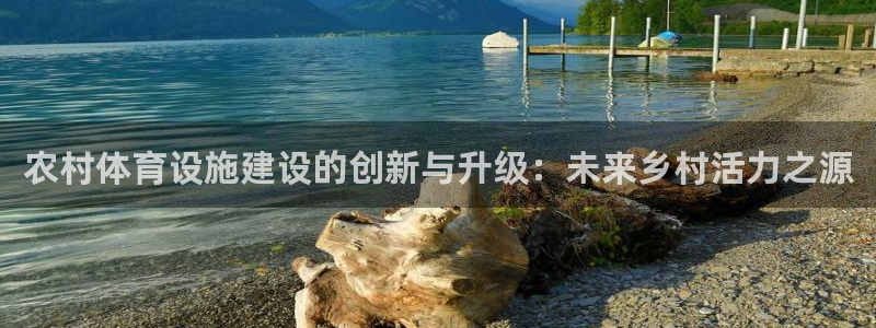 德国凯捷体育集团：农村体育设施建设的创新与升级：未来