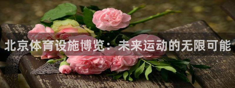 凯捷体育平台注册流程图：北京体育设施博览：未来运动的