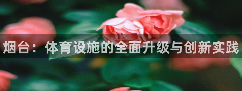 凯捷体育五金厂：烟台：体育设施的全面升级与创新实践