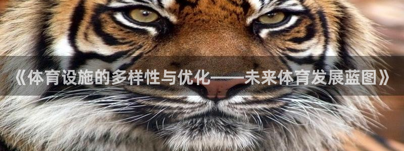 凯捷平台体育：《体育设施的多样性与优化——未来体育发
