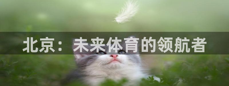 凯捷体育集团官网网址：北京：未来体育的领航者