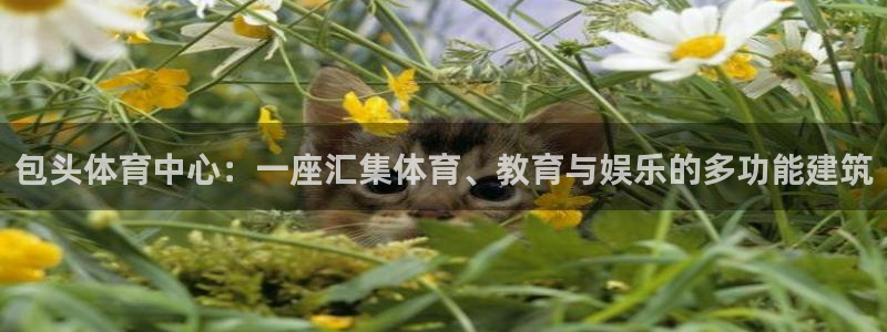 凯捷体育娱乐是那个系列的台子：包头体育中心：一座汇集