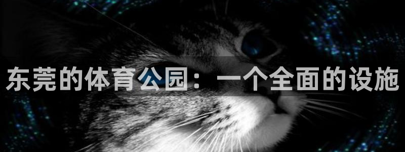 凯捷体育：东莞的体育公园：一个全面的设施