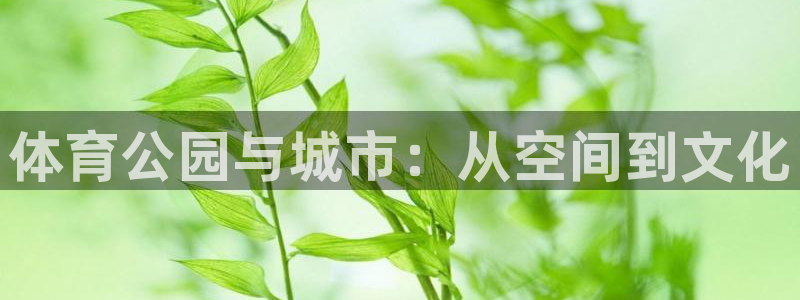 凯捷体育平台注册要钱吗：体育公园与城市：从空间到文化