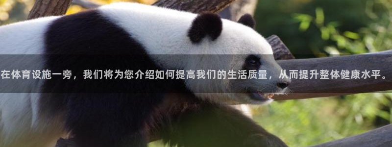 德国凯捷体育集团：在体育设施一旁，我们将为您介绍如何
