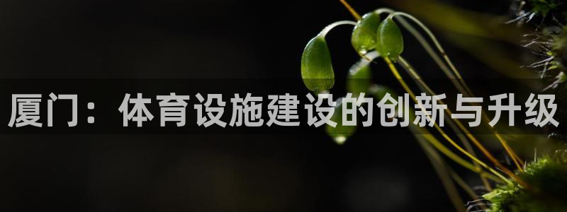 注册凯捷体育：厦门：体育设施建设的创新与升级