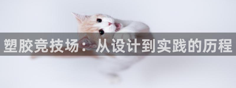 凯捷体育招商电话是多少号码：塑胶竞技场：从设计到实践