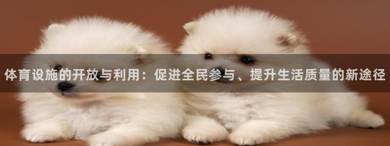 凯捷体育招商电话地址查询：体育设施的开放与利用：促进