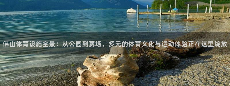 凯捷体育科技：佛山体育设施全景：从公园到赛场，多元的