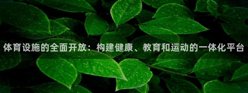 凯捷集团官网：体育设施的全面开放：构建健康、教育和运