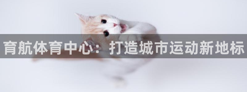 凯捷体育平台注册要钱吗安全吗：育航体育中心：打造城市运动新地 