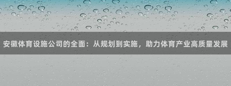 凯捷体育集团E.ON：安徽体育设施公司的全面：从规划到实施，