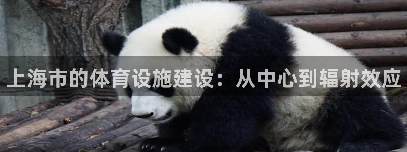凯捷体育官方客服电话：上海市的体育设施建设：从中心到辐射效应