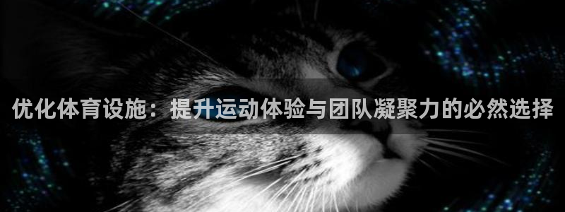 凯捷体育平台注册流程图：优化体育设施：提升运动体验与团队凝聚