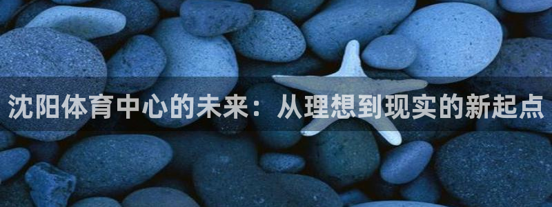 凯捷体育平台注册要钱吗是真的吗：沈阳体育中心的未来：从理想到 