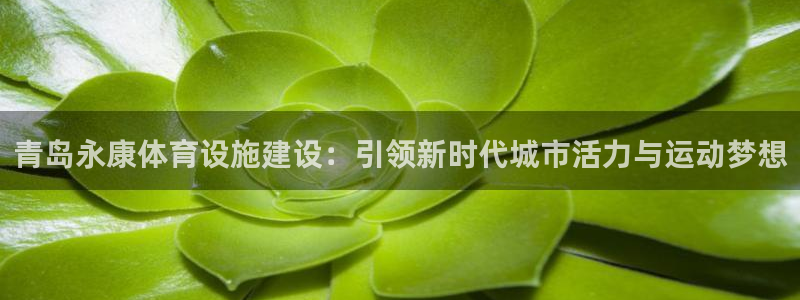 凯捷体育娱乐代理怎么样：青岛永康体育设施建设：引领新时代城市