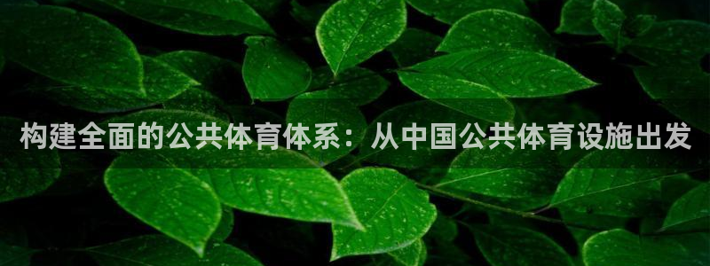 凯捷体育招商：构建全面的公共体育体系：从中国公共体育