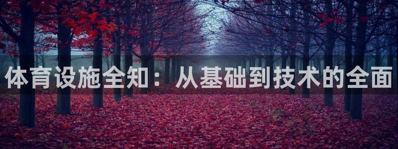 凯捷体育集团简介