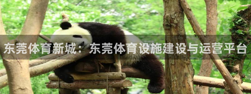 凯捷体育娱乐平台