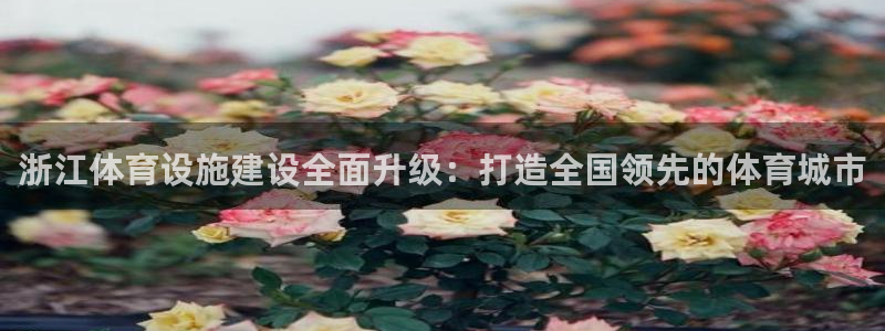 凯捷集团官网：浙江体育设施建设全面升级：打造全国领先的体育城