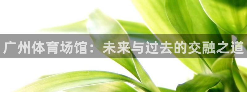 凯捷体育五金厂：广州体育场馆：未来与过去的交融之道