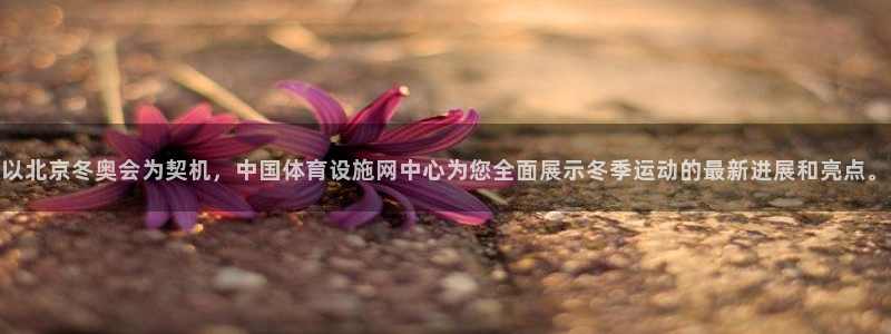 凯捷体育集团logo：以北京冬奥会为契机，中国体育设
