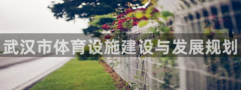 注册凯捷体育：武汉市体育设施建设与发展规划