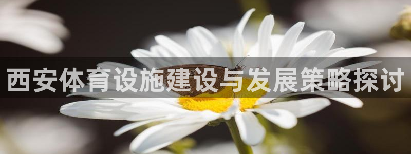 凯捷体育官方客服电话：西安体育设施建设与发展策略探讨