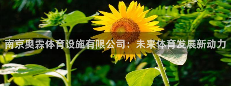 凯捷体育娱乐代理怎么样：南京奥霖体育设施有限公司：未